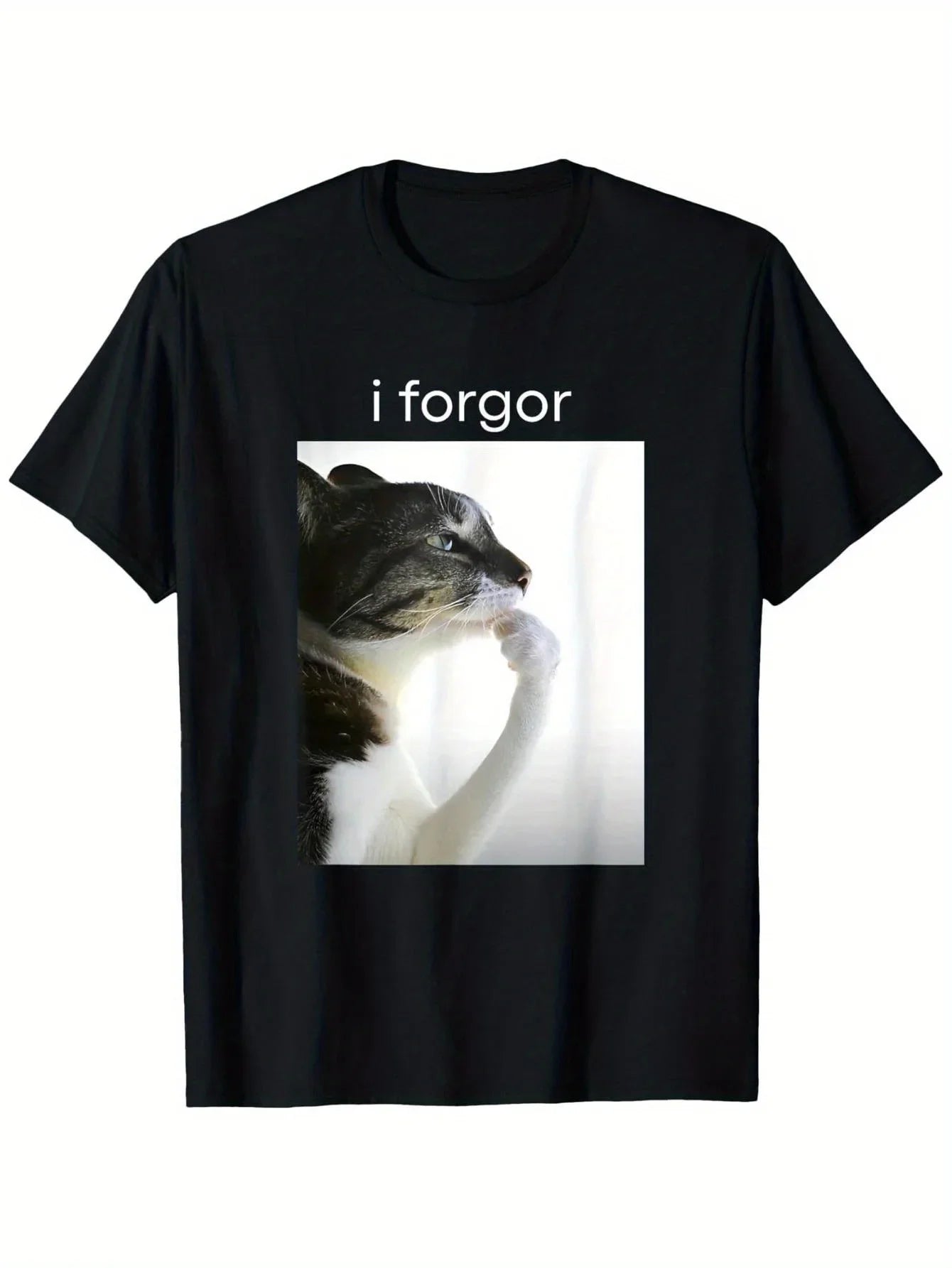 Funny Silly Cat Meme "I Forget" Cringe Brainrot Graphic T-Shirt Round Neck Short Sleeve Tee for Casual Wear Women Clothing Y2K